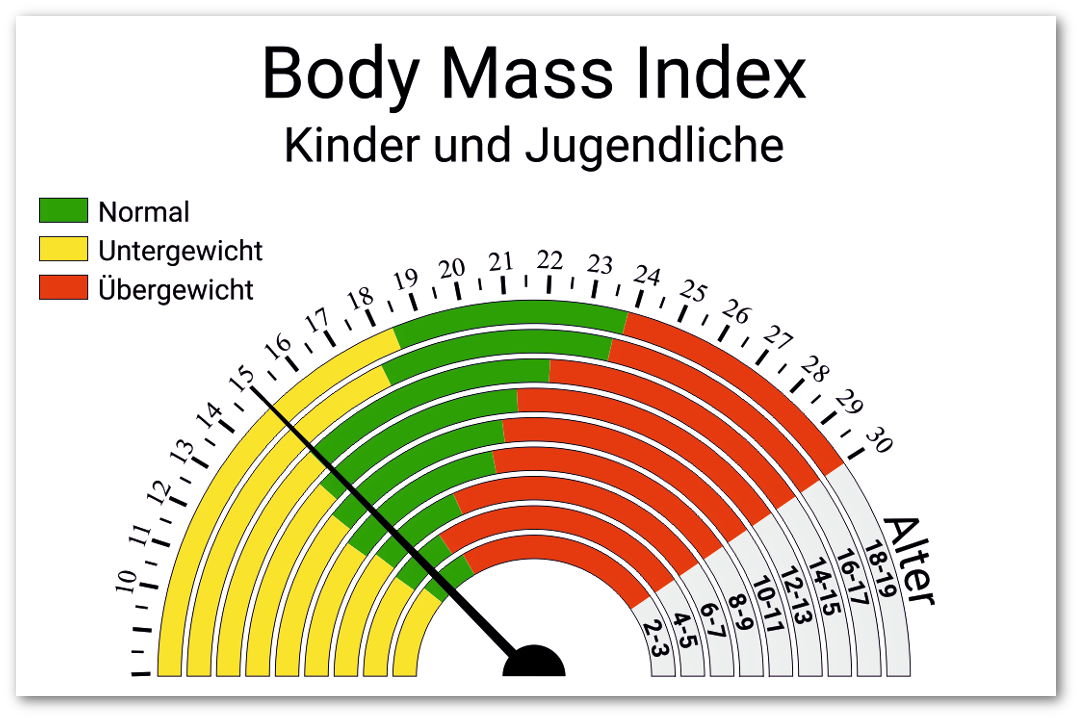 Optimale BMI Werte Kinder und Jugendliche 2-19 Jahre als Tachometer dargestellt mit Klassifizierung