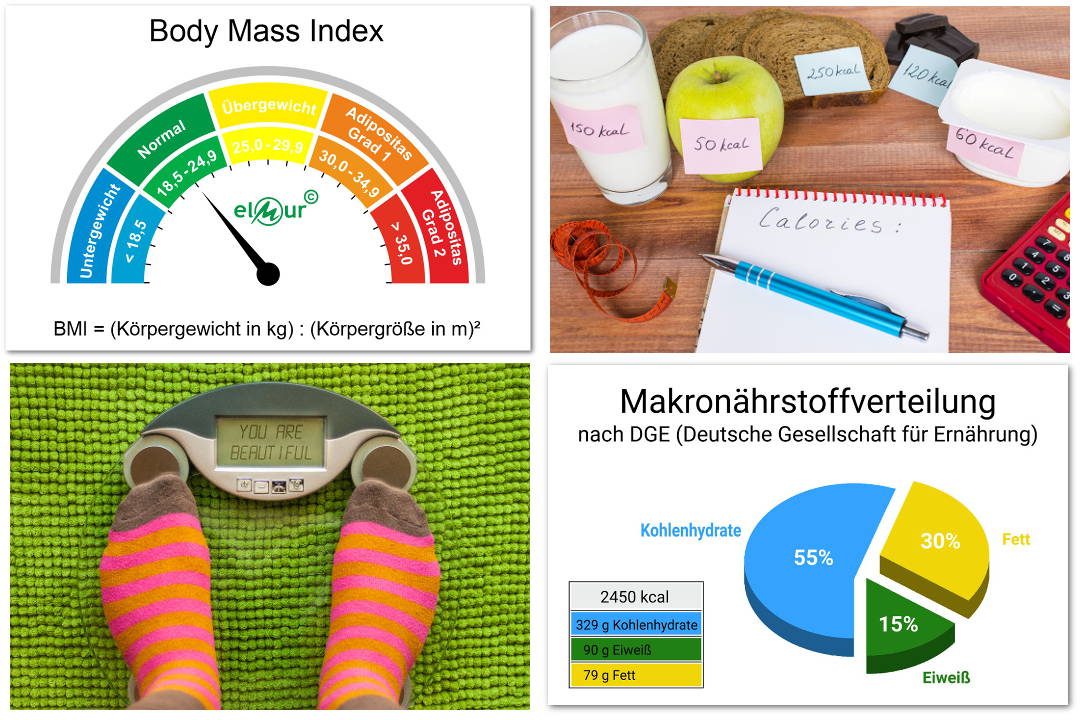 Rechner für Gesundheit, Ernährung & Fitness